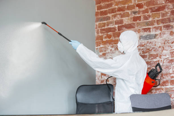 Best Mold Remediation for Healthcare Facilities  in Wabasso, FL
