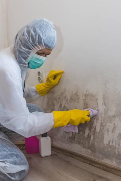 Best Airborne Mold Testing  in Wabasso, FL