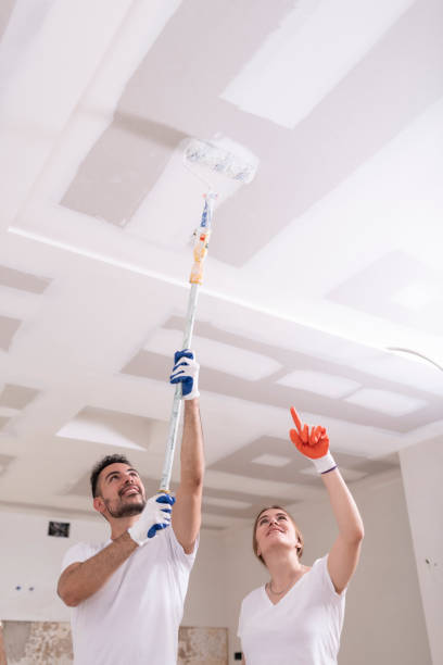 Best Mold Odor Removal Services  in Wabasso, FL