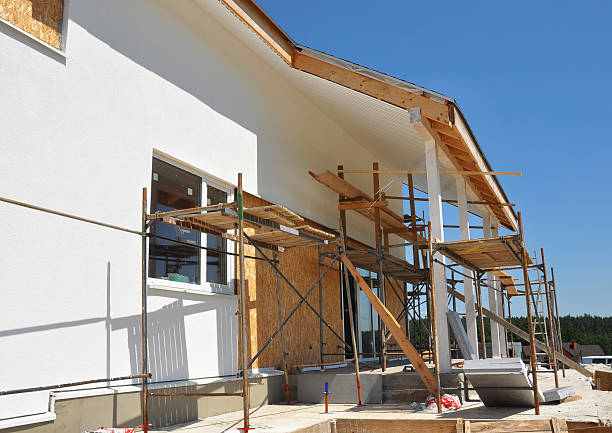 Best Biohazard Mold Removal  in Wabasso, FL