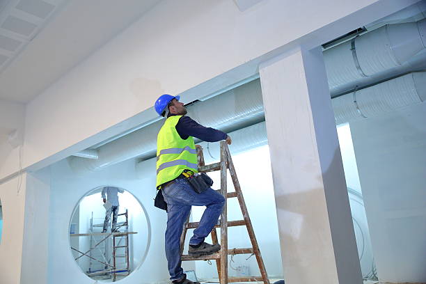 Trusted Wabasso, FL Mold Removal Experts