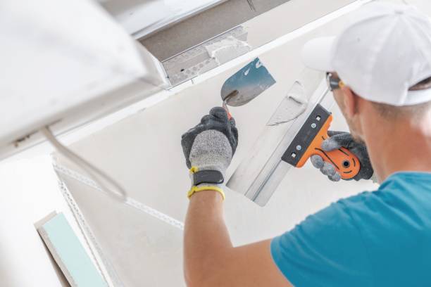 Best Comprehensive Air Testing for Mold Contaminants  in Wabasso, FL